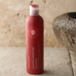 Innisfree Camellia Essential Shampoo Review By Zanne Xanne