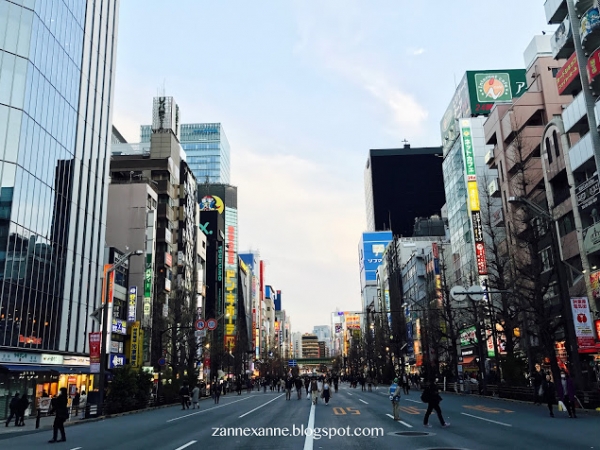 Things To Buy in Japan’s Drugstore | Zanne Xanne’s Travel Guide