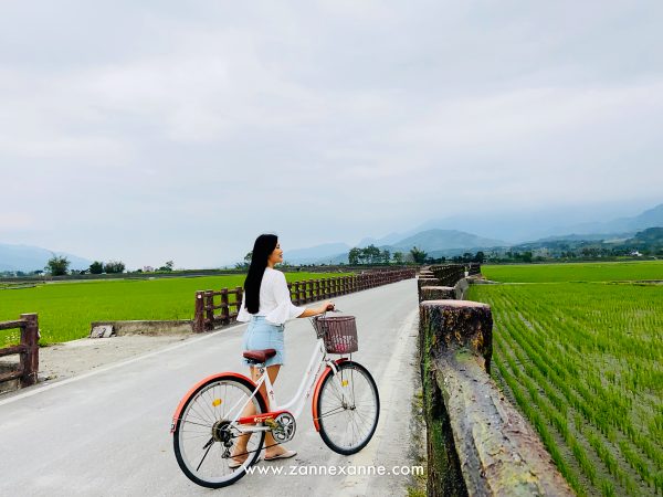 Brown Avenue | The Picturesque Paddy Field of Chishang | Zanne Xanne’s Travel Guide