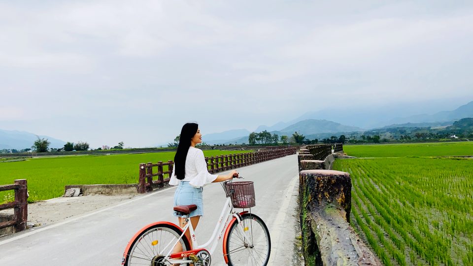 Brown Avenue | The Picturesque Paddy Field of Chishang | Zanne Xanne’s Travel Guide