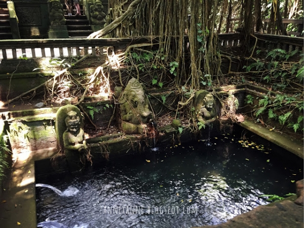 Bali Itinerary Part 2 ~ (Center Of Bali, Ubud) | Zanne Xanne’s Travel Guide