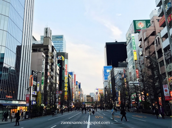 Things To Buy in Japan’s Drugstore | Zanne Xanne’s Travel Guide