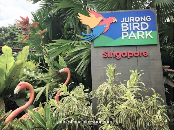 Jurong Bird Park Singapore | Asia Largest Bird Paradise | Zanne Xanne’s Travel Guide