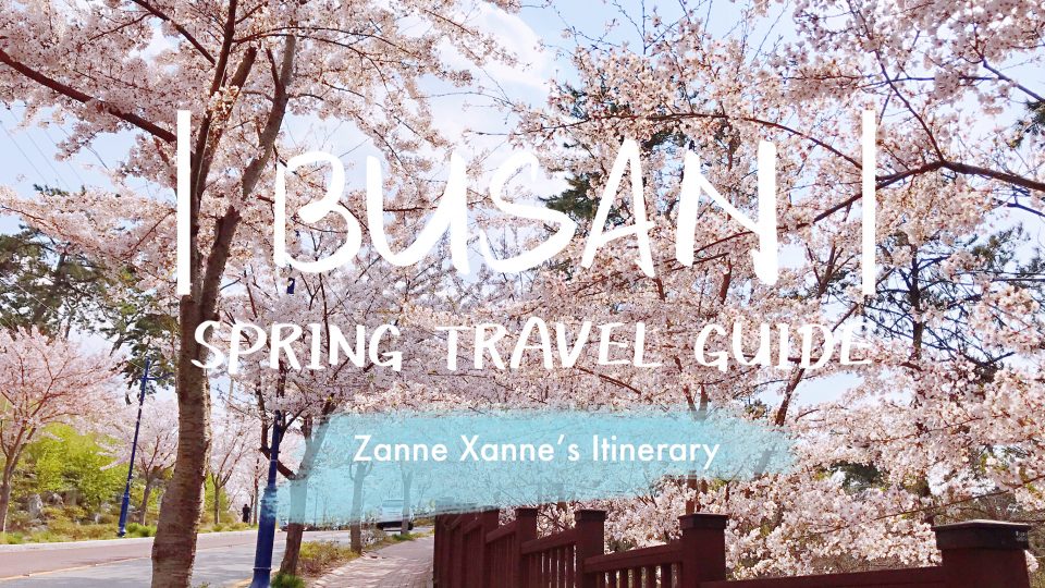 Busan Spring Travel Guide | Zanne Xanne’s Itinerary