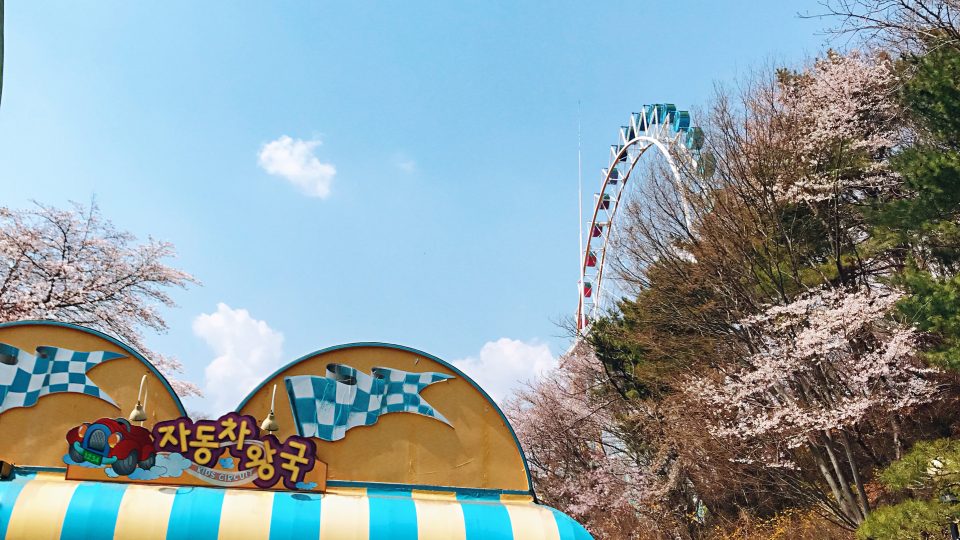 Everland Theme Park | Zanne Xanne’s Travel Guide