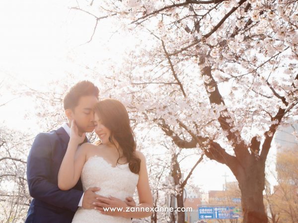 Top 5 Korea Pre Wedding Photo Shoot Location | By Zanne Xanne