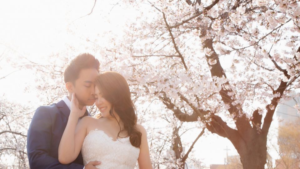 Top 5 Korea Pre Wedding Photo Shoot Location | By Zanne Xanne